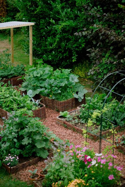 Transforming My Empty Backyard into a Heavenly Vegetable Garden — HER 86m2 - by Thuy Dao Her 86m2 Garden, Rustic Vegetable Garden, Her86m2 Garden, Umbrella Bouquet, Cotswolds House, Barbie Pets, Garden To Table, Thuy Dao, Her 86m2