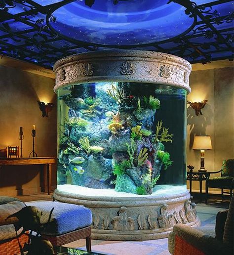 35 Unusual Aquariums and Custom Tropical Fish Tanks for Unique Interior Design Aquarium Mural, Aquarium Architecture, Amazing Aquariums, Cool Fish Tanks, Home Aquarium, Cool Fish, Marine Aquarium, Aquarium Design, Tanked Aquariums