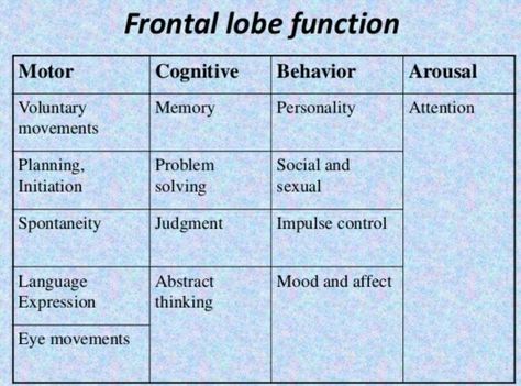 Frontal Lobe Development, Brain Health Quotes, Frontal Lobe Damage, Frontal Lobe Function, Basic Anatomy, How To Help Nausea, Brain Images, Basic Anatomy And Physiology, Cognitive Psychology