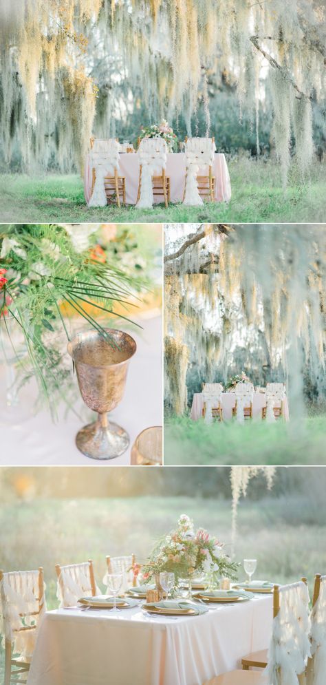 Whimsical Southern Spanish Moss Wedding Inspiration – Style Me Pretty Spanish Moss Table Decor, Spanish Moss Decor, Moss Table Decor, Spanish Moss Wedding, Moss Table, Moss Wedding, Moss Decor, Spanish Moss, Inspiration Style