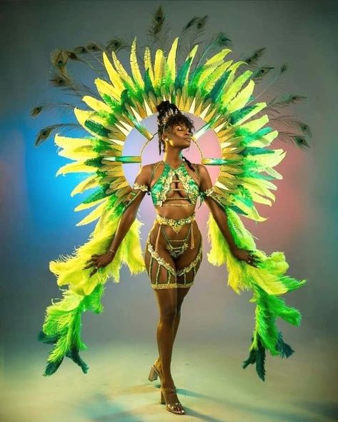 Brazil Carnival Outfit, Carnaval Outfit Brazil, Brazil Costume, Brazil Carnival Costume, Carribean Carnival Costumes, Carnival Rio, Rio Festival, Carnival Outfit Carribean, Caribbean Carnival Costumes