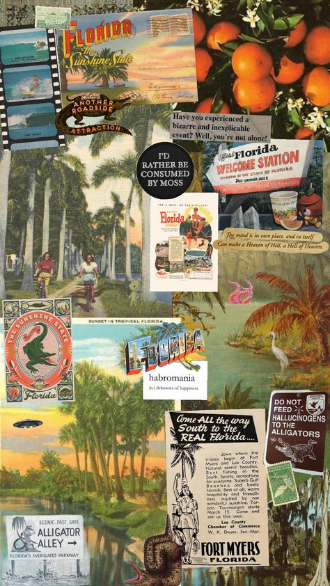 #florida #shuffle #vintageflorida #weirdflorida 70s Florida Aesthetic, Vintage Florida Aesthetic, Florida Collage, Usa Culture, Room Collage, Florida Aesthetic, Theme Wallpaper, Collage Wallpaper, Vintage Florida