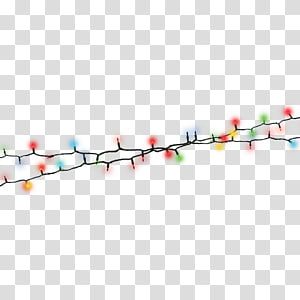 Christmas Lights Transparent Background, Christmas Lights Png, White String Lights, Star Illustration, Incandescent Light Bulb, Circle Light, Sparkling Lights, Light Rays, Lights Christmas