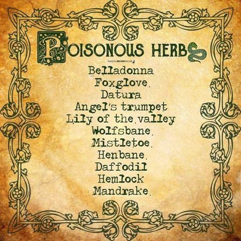 Magickal Herbs, Witch Herbs, Magic Herbs, Magical Herbs, Wiccan Spell Book, Witch Spell Book, Herbal Magic, Wiccan Spells, Spells Witchcraft