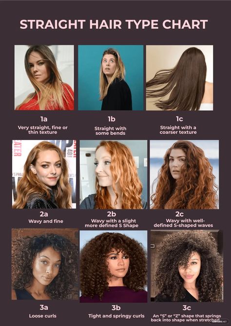 HAIR TYPE Types Of Hairlines Women, Curly Hair Length Chart, Types Of Wavy Hair Chart, What Hair Type Do I Have, Haircut Lengths Chart, Wavy Hair Types Chart, How To Know Your Hair Type, Types Of Straight Hair, Curl Chart