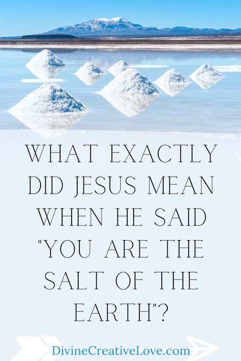 You Are The Salt And Light Of The World, Salt Of The Earth Quotes, Salt Quotes, Sermon Ideas, Womens Ministry Events, Bible Learning, Bible Trivia, Earth Quotes, Study Topics