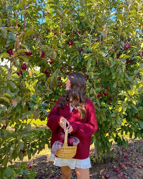 the apple to my pie🍎🧺🍁🤎 #fallaesthetic #fallvibes #falloutfit #falloutfits #fallfashion #fallseason #fallstyle #applepicking #appleorchard Apple Girl Aesthetic, Fruit Picking Aesthetic, Apple Picking Couple, Apple Orchard Outfit Fall, Apple Orchard Aesthetic, Apple Photoshoot, Apple Picking Photoshoot, Downtown Clothes, Apple Orchard Pictures