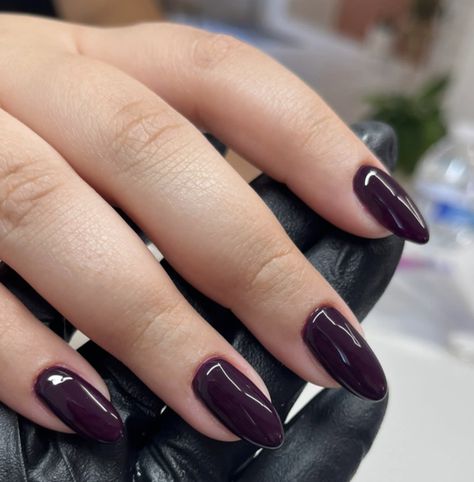 rosewood Grape Color Nails, Dnd Rosewood, Dark Purple Nails Chrome, Plum Aesthetic Color, Plum Nails Design, Short Round Blue Nails, Eggplant Color Nails, Fall Nail Gel Colors, Purple Wine Nails