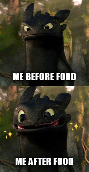 Funny Httyd, Cute Toothless, Httyd Funny, Httyd Toothless, Toothless And Stitch, Funny Dragon, Toothless Dragon, Dragon Memes, Httyd Dragons