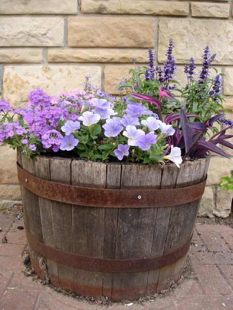 May 22, 2012 on the sidewalk, always two big whisky barrels of flowers...usually purples. Flowers In Barrels, Whisky Barrel Flowers, Flower Barrel Ideas, Wiskey Barrell Ideas Plants, Barrel Flower Pot Ideas, Whiskey Barrel Planter Flowers, Barrel Garden Ideas, Container Planting Ideas, Barrel With Flowers