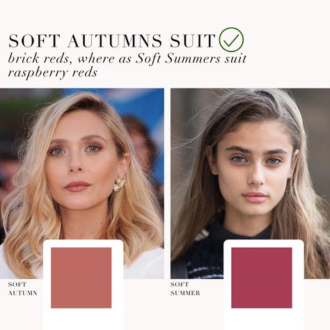 Soft Autumns suit brick reds whereas Soft Summers suit raspberry reds. Dakota Johnson Soft Summer, Soft Summer Style Outfits, Smoky Soft Summer, Soft Summer Red Lipstick, Soft Summer Vs Soft Autumn, Soft Summer Red, Soft Summer Hair Color, Summer Skin Tone, Soft Summer Makeup