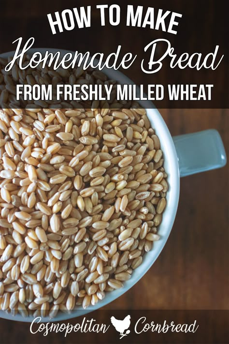 Wheatberry Bread Recipe, Milled Wheat Recipes, Fresh Milled Bread Recipe, Fresh Ground Wheat Bread Recipes, Fresh Milled Sandwich Bread, Cosmopolitan Cornbread, Freshly Milled Wheat Recipes, Soft White Wheat Berries Recipes, Milled Flour Bread Recipe