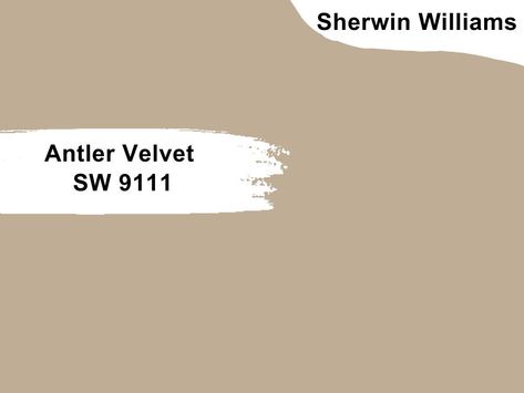 Antler Velvet is a warm brown paint color with earthy tones. It brings the outdoors to you and makes a room inviting and cozy. And because the color is neutral, it pairs well with other neutral hues and nature-inspired shades. Sw Antler Velvet, Antler Velvet Sherwin Williams, Coral Paint Colors, Antler Velvet, Tan Paint Colors, Charleston House, Light Grey Paint Colors, Purple Paint Colors, Brown Paint Colors