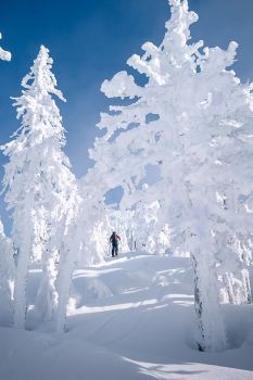 Winter Wonderland In Bend, Oregon. (96 pieces) Snow Travel, Cold Christmas, Christmas Landscape, Snow Pictures, Winter Szenen, Winter Photos, Sky Sunset, Winter Magic, Winter Scenery