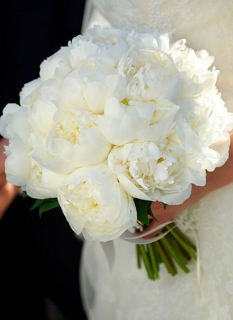 The Top 30 Bridal Bouquets For Every Bride To Stand Out | Mrs to Be Wedding Flower Guide, Santa Fe Wedding, Bridal Bouquet Flowers, Flower Guide, White Bridal Bouquet, White Wedding Bouquets, Funny Wedding, White Wedding Flowers, Wine Wedding