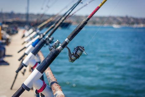 Pier Fishing Tips for Beginners San Diego Pier, Tackle Shop, Bait And Tackle, Fishing Rigs, Downtown San Diego, Fishing Guide, Fishing Charters, Catching Fish, Pier Fishing