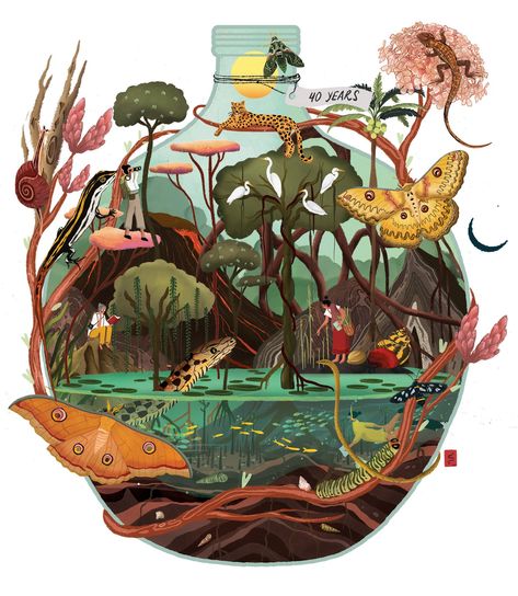 Environment Conservation Art, Bio Diversity Poster, Biodiversity Poster Ideas, Ecosystem Poster, Ecosystem Drawing, Ecosystem Illustration, Biodiversity Art, Biodiversity Illustration, River Ecosystem