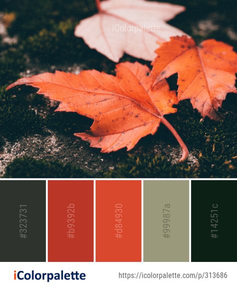 Fursona Ideas, Nail Color Combinations, Wedding Color Pallet, Colors Combinations, Orange Leaves, Beige Art, Art Resources, Leaves Autumn, Spring Tree