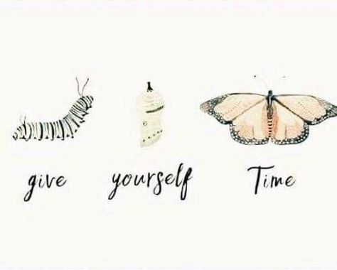 Give yourself time butterfly quote Quotes, inspiring words, inspirational Quotes, Quotes to live by, encouraging quotes  blooming quote, growing quote, small business, entrepreneur quotes, Single Mother Quotes, Flower Quotes Love, Growing Quotes, Quotes Smile, Happy Quotes Smile, Truth Ideas, Butterfly Quotes, Life Changing Quotes, Super Quotes