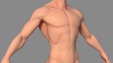 ArtStation - Male Stylized Body Base, Mike Lieu Male Body Turnaround, Stylized Top Surgery, Stylized Male Anatomy, Stylized Male Character, Stylized Body, Blender Sculpting, Stylized Anatomy, Zbrush Anatomy, 남성 근육