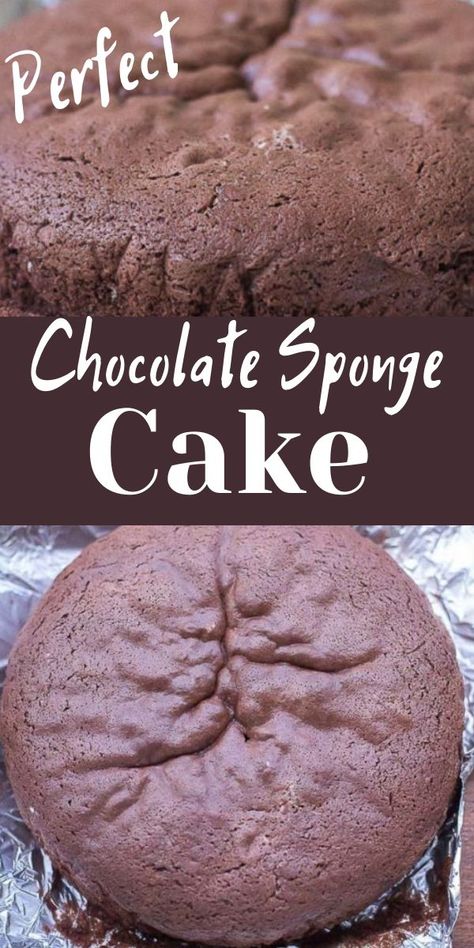 Chocolate Sponge Cake Recipe Moist, Spongy Cakes Recipe, Chocolate Sponge Cake Recipe Easy, Sponge Cake Recipe Best, Cakes Coconut, Chocolate Sponge Cake Recipe, Sponge Cake Decoration, Cakes Strawberry, Cakes Vanilla