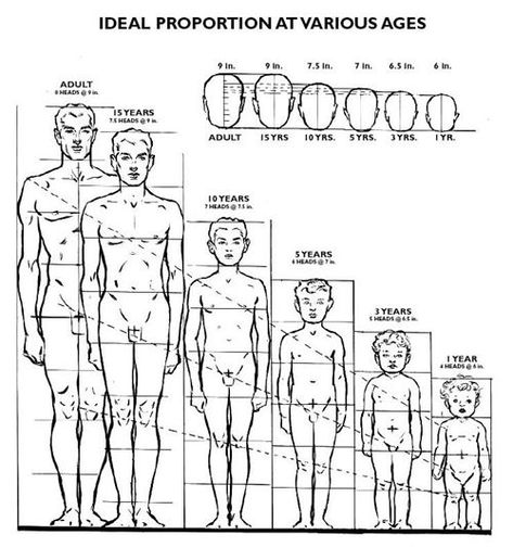 Drawing Body Proportions, Character Design Tutorial, Human Figure Sketches, Model Sketch, Human Anatomy Drawing, Human Figure Drawing, Human Anatomy Art, Human Drawing, Anatomy Sketches