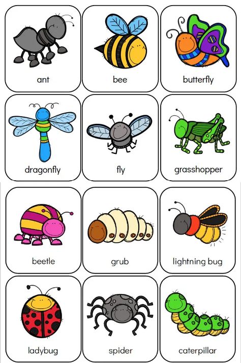 Here's Your Free Bug Flashcards Preschool Bug Activities, Bug Activities, Bugs Preschool, Insect Activities, Insect Crafts, Bug Crafts, Memory Games For Kids, Kindergarten Worksheets Printable, Memory Game