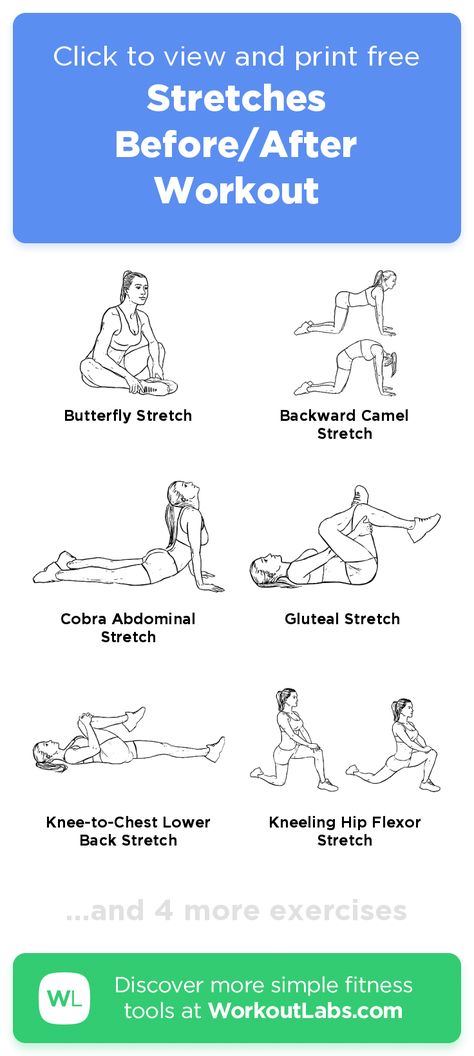 Best Stretches After Workout, Easy Full Body Stretching Routine, Stretches After Ab Workout, Stretches To Make You Feel Good, Pre Ab Workout Stretches, Stretching Exercises Before Workout Gym, Workout Stretches Cool Down, Stretches For After Leg Workout, Easy Stretches Before Workout