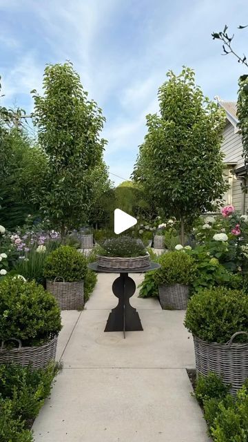 Southern Home Magazine on Instagram: "Don’t miss this gorgeous garden transformation by @harolds_finishing_touches. What a stunning before and after! 😍 #REPOST #haroldsHOME" Hamptons Style Garden, Hamptons Garden, Southern Home Magazine, Garden Transformation, Divine Design, Home Magazine, Hamptons Style, Southern Home, Gorgeous Gardens