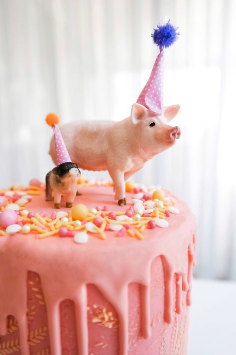 Party pig cake Pig Themed Birthday Cake, Pigs Birthday Cake, Pig Cake Ideas, Pig Themed Birthday Party, Papas Birthday, Piggy Birthday Party, Piggy Birthday, Piggy Party, Pig Birthday Party Ideas