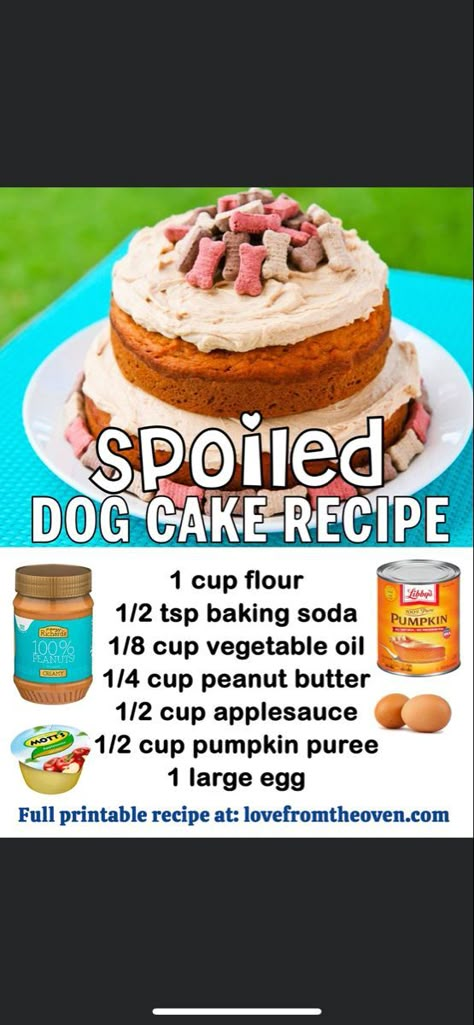 Spoiled Dog Cake, Easy Dog Cake, Homemade Dog Cake, Dog Cake Recipe, Dog Birthday Cake Recipe, Dog Cake Recipes, Pet Treats Recipes, Easy Dog Treat Recipes, Dog Biscuit Recipes