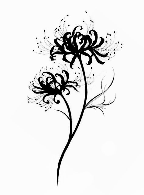 Illumi Tattoo Ideas, Black And White Spider Lily Tattoo, Spider Lily Drawing Easy, Alternative Flower Tattoo, Spider Lily Illustration, Spider Lily Flower Drawing, Tokyo Ghoul Spider Lily Tattoo, Black Spider Lily Tattoo, Spider Lilly Tatoos Design