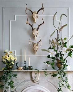 12 Amazing Shed Antler Decorations for the Ladies Deer Antler Decor Living Room, Deer Skull Decor Living Room, Antler Display Ideas, Antler Decorations, Mantle Flowers, Deer Skull Decor, Antler Wall Decor, Antler Ideas, Botanical Interior