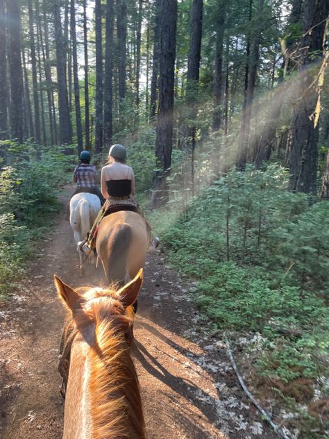 Horse Riding Mountains, Horse Riding In The Woods, Forest Horse Riding, Horse Trail Ride Aesthetic, Trail Ride Aesthetic, Trail Riding Aesthetic, Riding Horse Aesthetic, Summer Horse Riding, Horse Trail Ride