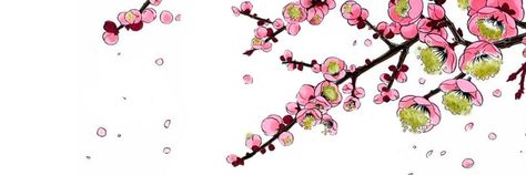 Cherry Blossom Header Twitter, Banner Ideas, Header Banner, Twitter Header, Cherry Blossoms, Cherry Blossom, Banners, Blossom, Cute Animals