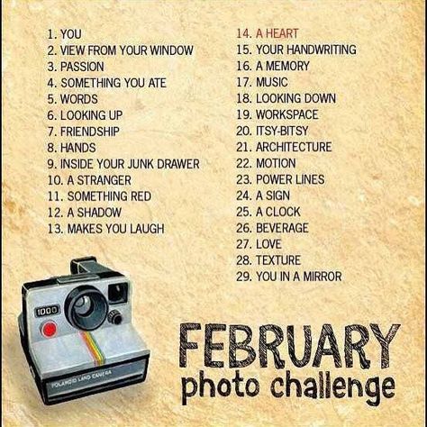 February Photo Challenge, Photo A Day Challenge, Photo Prompts, Instagram Challenge, Monthly Photos, Photography Challenge, Photography Lessons, Photo A Day, Photo Projects