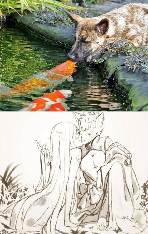 Koi Fish Mermaid Drawing, Wholesome Anime Art, Koi Fish Human Drawing, Werewolf X Human Art, Koi Fish Oc Art, Mermaid And Human Art, Werewolf And Human Couple, Fish People Art, Animals As Humans Drawings