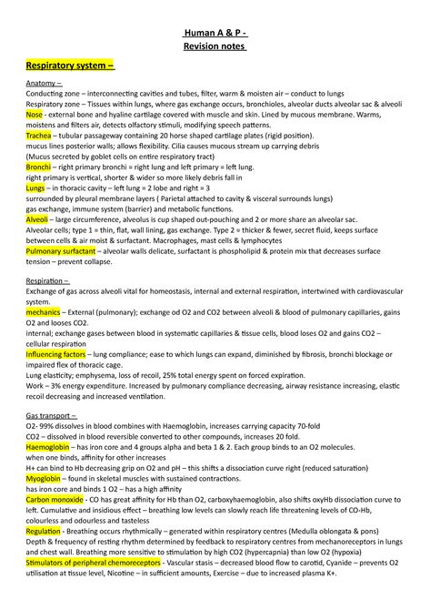 Share free summaries, lecture notes, exam prep and more!! Respiratory Anatomy And Physiology, Respiratory Physiology Notes, Respiratory System Parts And Functions, Respritory System Diagram, Mechanism Of Breathing Notes, Anatomy Of Lungs Notes, Anatomy Of Respiratory System, The Respiratory System Notes, Lung Anatomy Notes