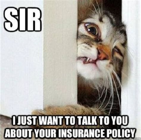 Life Insurance Humor, Insurance Meme, Insurance Humor, Life Insurance Marketing, Insurance Marketing, Life Insurance Quotes, Insurance Agency, Pet Insurance, Insurance Agent