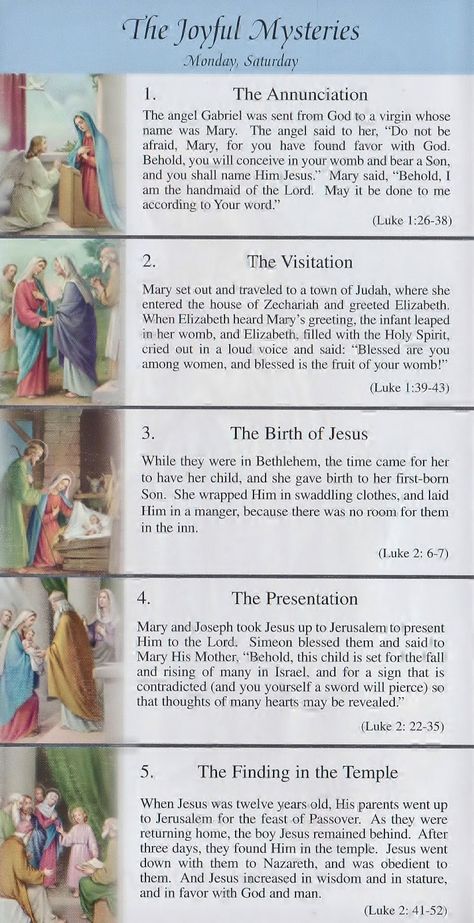 Joyful Mysteries, Rosary Mysteries, Rosary Prayers Catholic, Catholic Prayers Daily, Catholic Doctrine, Catholic Beliefs, Catholic Education, Novena Prayers, Rosary Prayer