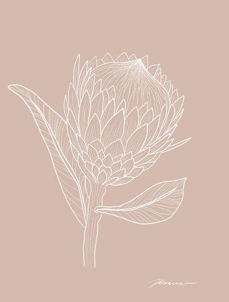 Protea Art, Simple Line Art, Flower Line Drawings, Flower Drawing Tutorials, Protea Flower, Australian Native Flowers, Line Art Tattoos, Canvas Ideas, Art Prompts