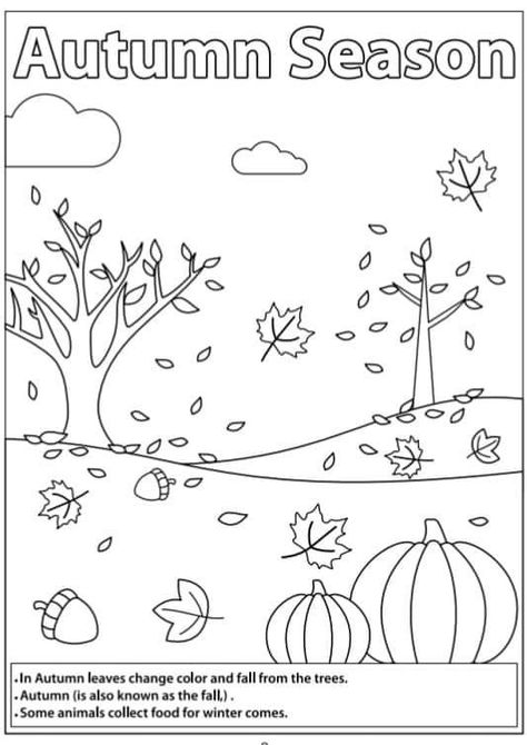 Autumn Worksheets For Kindergarten, Autumn Worksheets Preschool, Ingles Kids, Seasons Lessons, Seasons Worksheets, Summer Preschool Crafts, Toddler Lessons, School Board Decoration, Lesson Plans For Toddlers