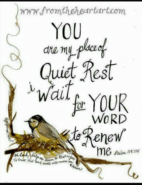 Psalm 119:114 Woord Van God, Verses Bible, Quotes Bible, Psalm 119, Your Word, Bible Verse Art, Bible Art Journaling, Favorite Bible Verses, Faith Inspiration