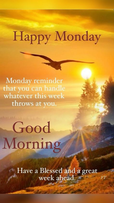 Monday Morning Quotes Inspiration Positivity, Monday Morning Greetings, Monday Morning Blessing, Magic Monday, Week Blessings, Monday Morning Motivation, Happy Monday Quotes, Happy Monday Morning, Monday Morning Quotes