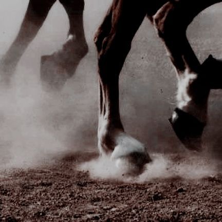 America Coquette, Horse Cowboy, Gothic Photography, Connie Springer, Rasy Koni, Cowboy Aesthetic, Arte Alien, Cute Nature, Horse Aesthetic