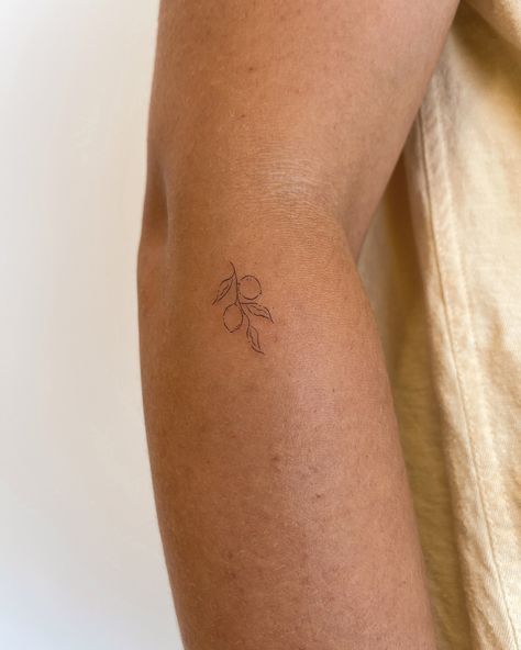 Fine Line Tiny Flower Tattoo, Tiny Ribcage Tattoo, Lemon Small Tattoo, Fineline Tiny Tattoo, Micro Tattoo Placement Ideas, Citrus Branch Tattoo, Small Farm Tattoo, Small Minimalist Tattoo Meaning, Simple Fig Tattoo