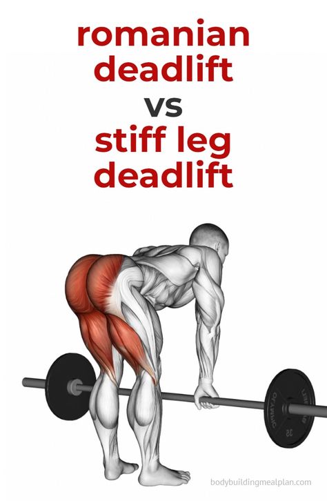 At Home Deadlift Workout, Romanian Deadlift Vs Stiff Leg Deadlift, Deadlifts For Back, One Leg Workout, Stiff Legged Deadlift, Dumbbell Stiff Leg Deadlift, Stiff Leg Deadlift How To Do, Stiff Legs Exercise, Single Leg Romanian Deadlift