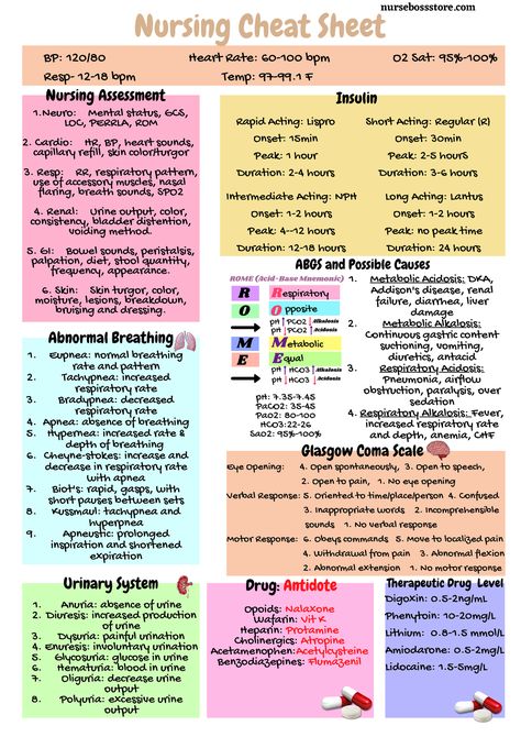 3. Nursing Cheat Sheet - Eupnea: normal breathing rate and pattern Tachypnea: increased respiratory - Studocu Nursing Iv Fluids Cheat Sheets, Nursing Mnemonics Fundamentals, Nursing Abbreviations Cheat Sheets, Patient Positioning Cheat Sheet, Study Tips College Nursing, Clinical Decision Making Nursing, Respiratory Disorders Nursing, Pathophysiology Nursing Study Guides Respiratory, Nursing Diagnosis Cheat Sheet