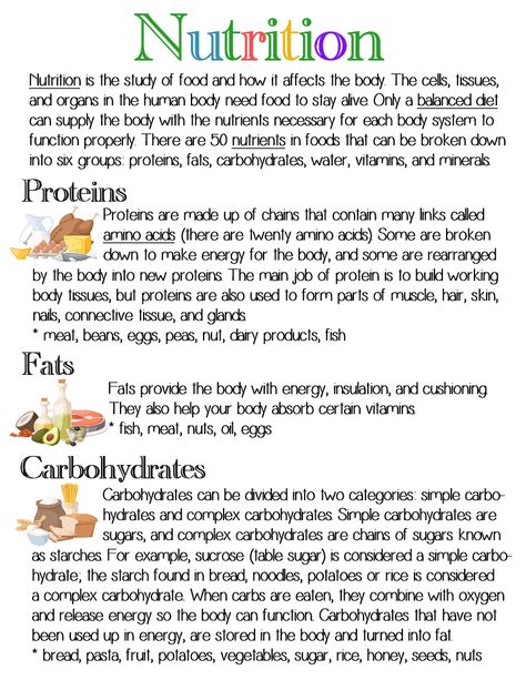 Nutrition (Groups - part 1) ~ Anchor Chart * Jungle Academy Animal Nutrition Biology Notes, Nutrition In Human Beings Notes, Nutrition Class 10 Notes, Dietitian Study Notes, Nutrition Study Notes, Nutrition In Plants Class 7 Notes, Biology Nutrition, Nutrition Notes, Nutrition Basics