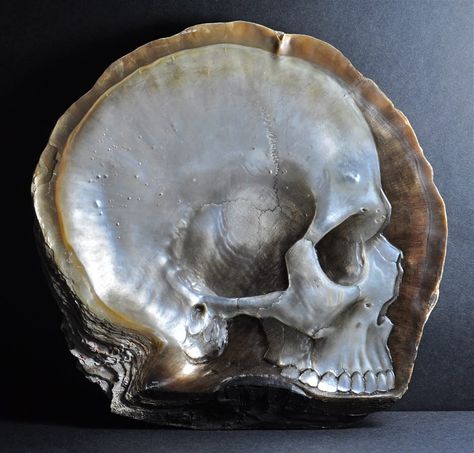 Mother of Pearl Shell Skull Carvings by Gregory Halili Human Skull, Skull Carving, A Skull, Skeletal, Arte Horror, Crystal Skull, Pearl Shell, Skull And Bones, Mother Pearl